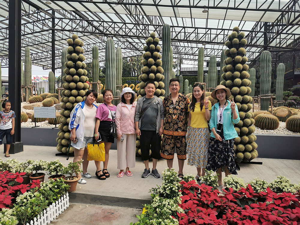 出發(fā)在鴻成，暢爽泰國(guó)游(圖3)